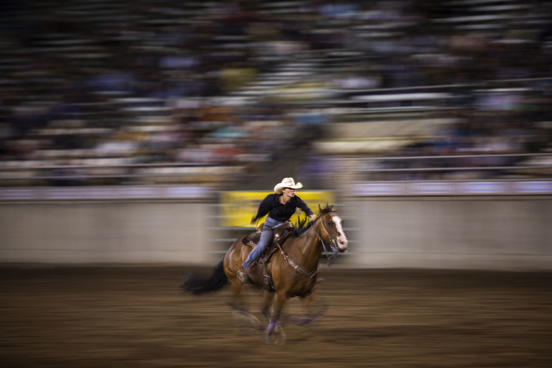 Rodeo